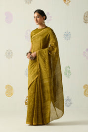 Kashi Saree