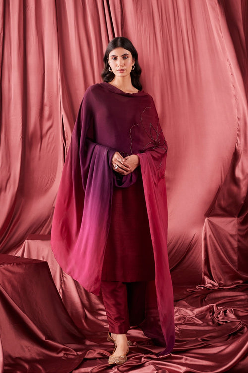 Hamsini Kurta Set - House of Ayuda