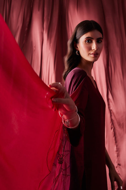 Hamsini Kurta Set - House of Ayuda