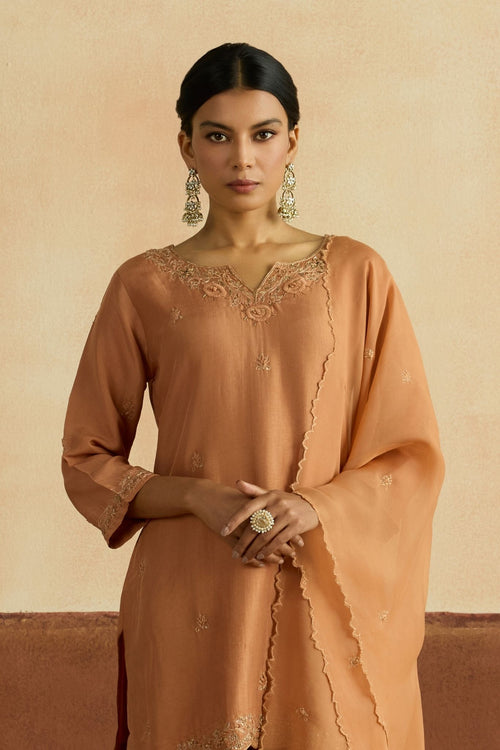 Preeti Embroidered Kurta Set