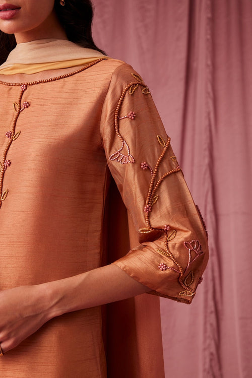 Saanvi Kurta Set - House of Ayuda