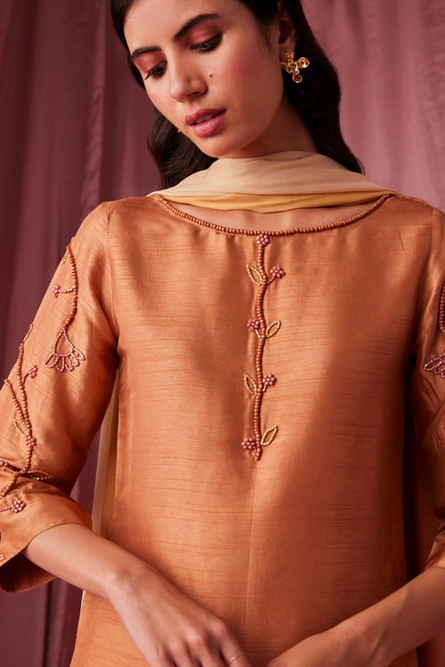 Saanvi Kurta Set - House of Ayuda
