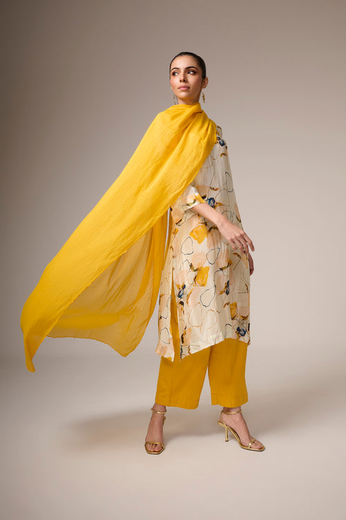Rawan Kurta Set - House of Ayuda