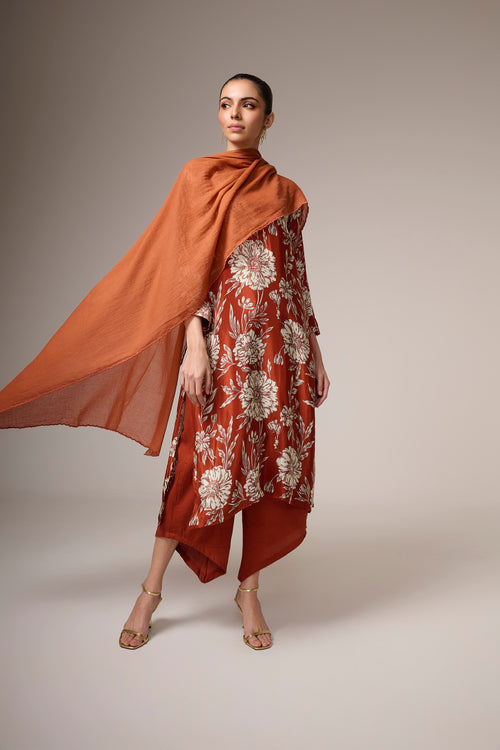 Fariha Kurta Set - House of Ayuda