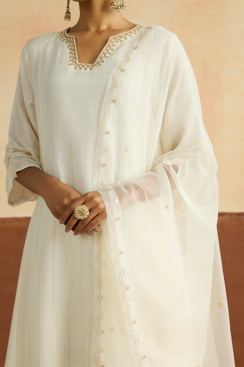 Radhika Embroidered Kurta Set