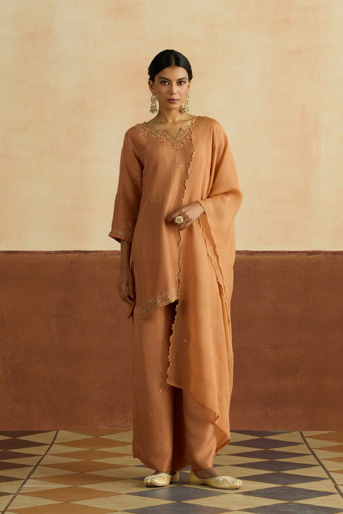 Preeti Embroidered Kurta Set