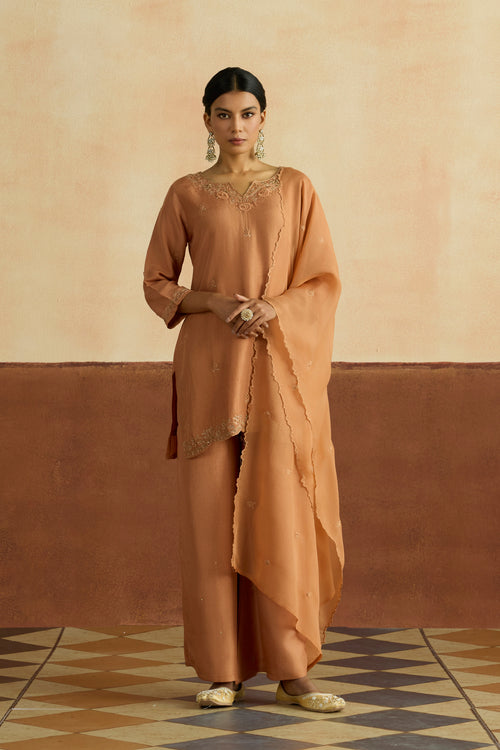 Preeti Embroidered Kurta Set