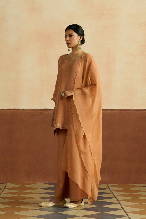 Preeti Embroidered Kurta Set