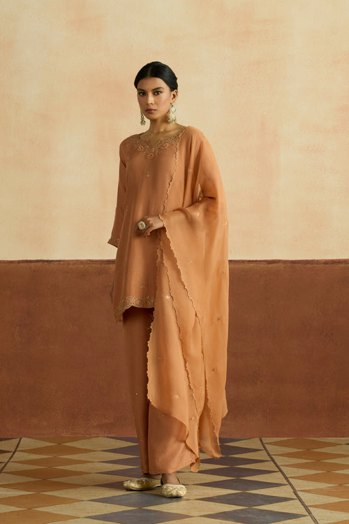 Preeti Embroidered Kurta Set