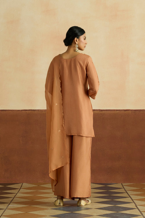 Preeti Embroidered Kurta Set