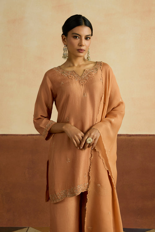 Preeti Embroidered Kurta Set