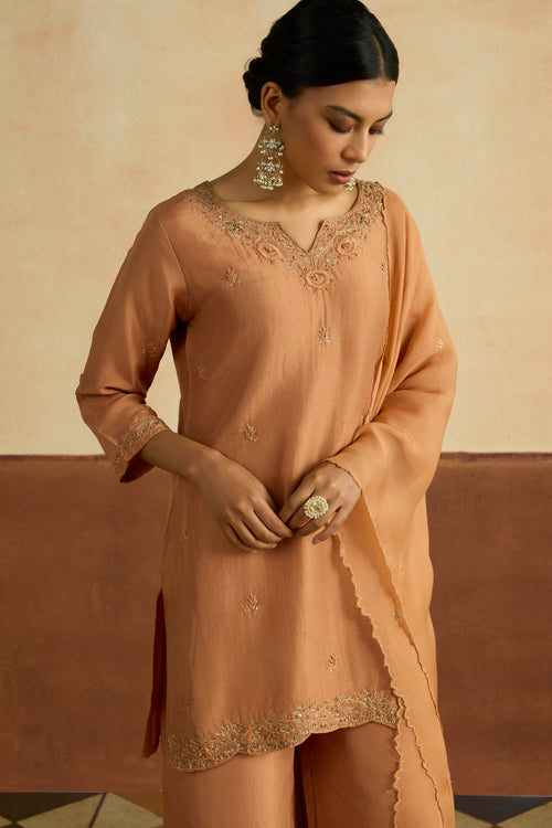 Preeti Embroidered Kurta Set