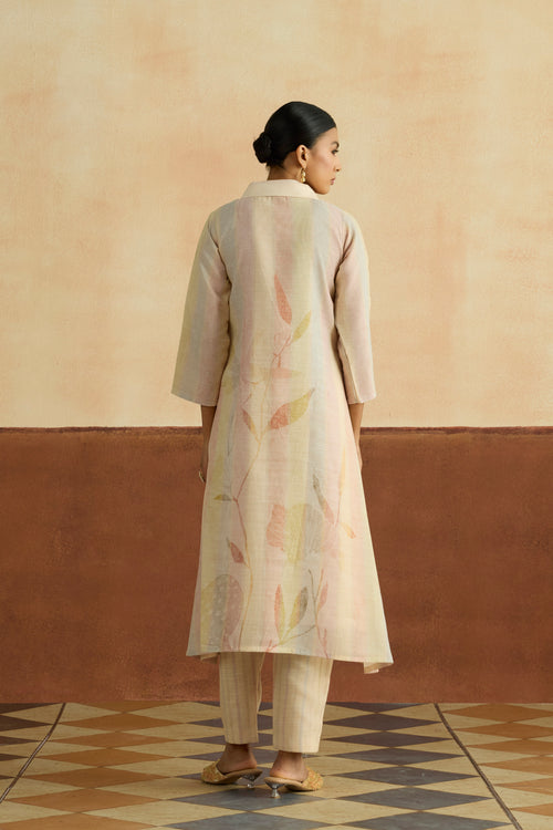 Roshni Embroidered Kurta Set