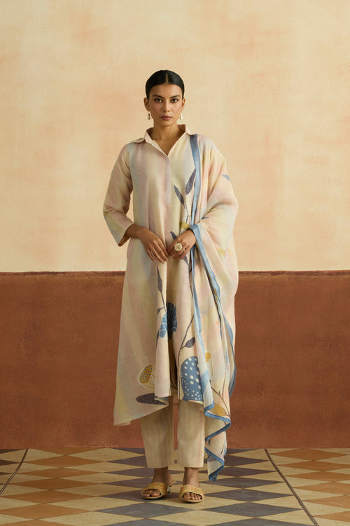 Roshni Embroidered Kurta Set