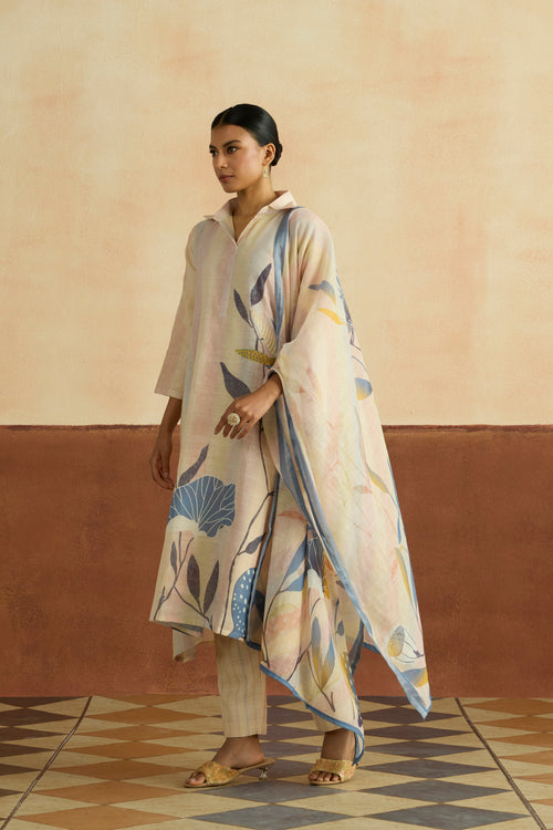 Roshni Embroidered Kurta Set