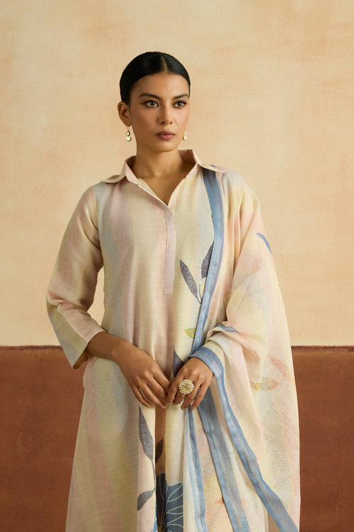 Roshni Embroidered Kurta Set