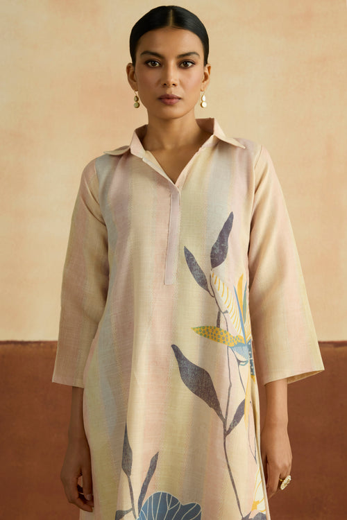 Roshni Embroidered Kurta Set