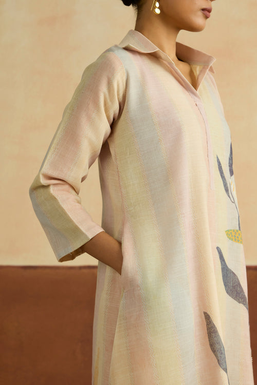 Roshni Embroidered Kurta Set