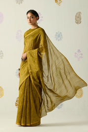 Kashi Saree